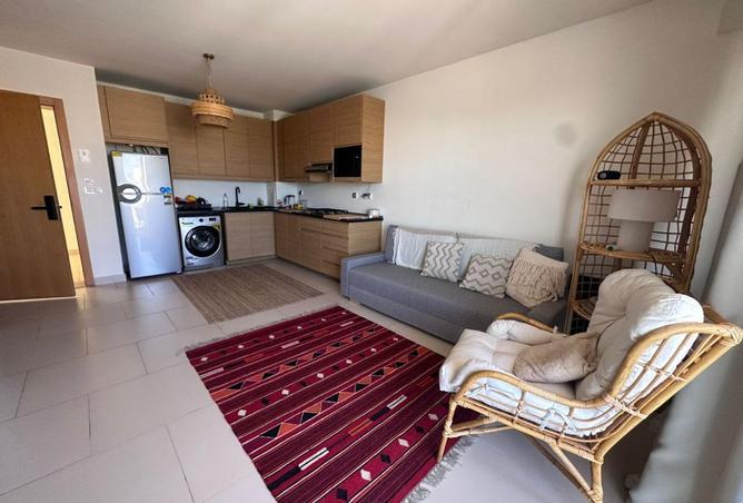 8420343 - Property Image 3