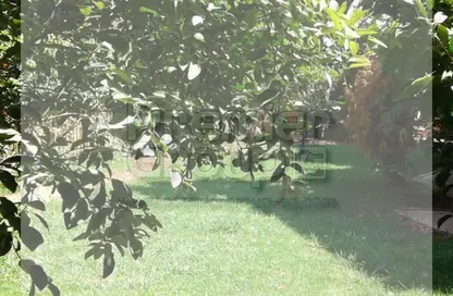 Villa - 6 Bedrooms - 3 Bathrooms for rent in Street 10 - Maadi - Hay El Maadi - Cairo