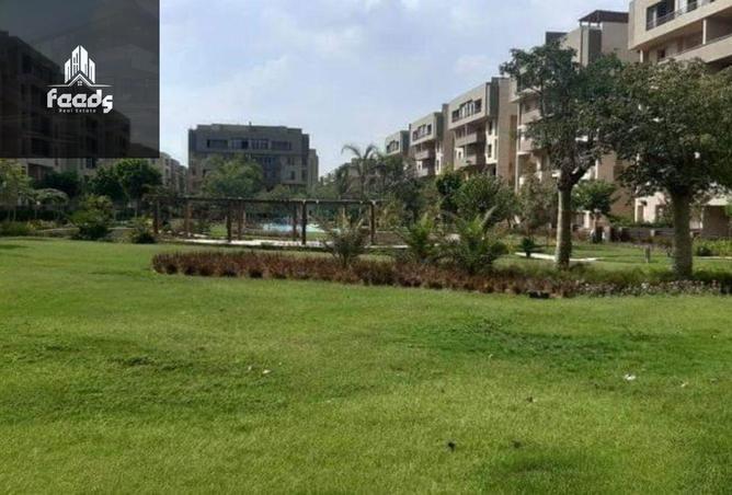 8308853 - Property Image 3