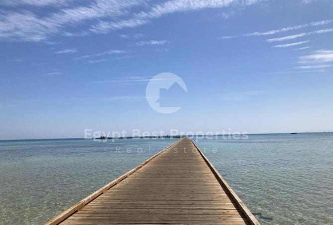 8118706 - صورة العقار 3