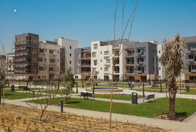 7991240 - Property Image 2