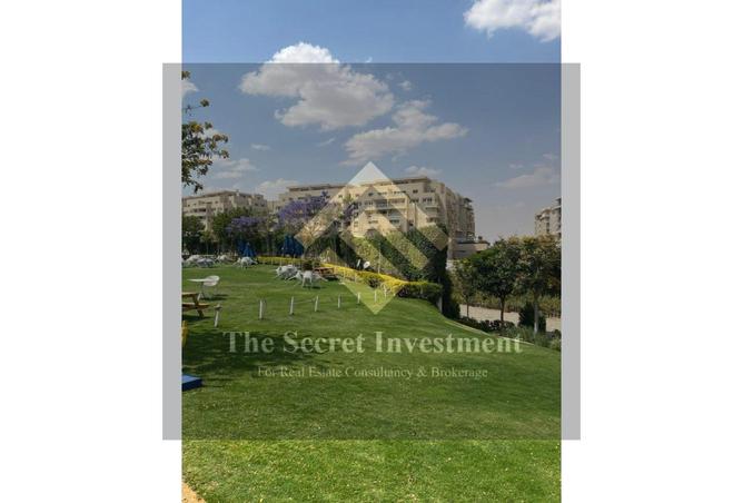 8116362 - صورة العقار 2