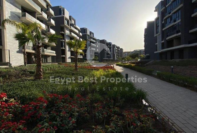 8202229 - Property Image 2