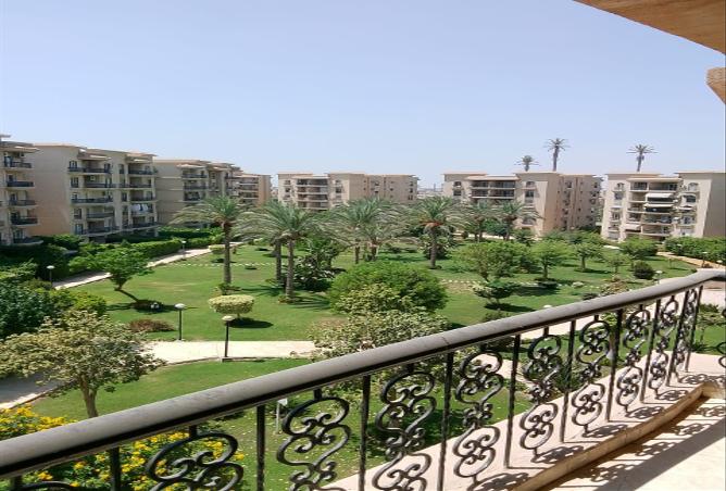 7985830 - Property Image 3