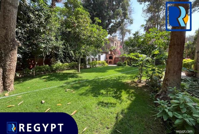 8136250 - Property Image 3