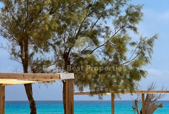 8433990 - Property Image 3