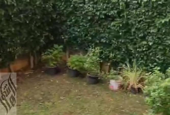 8250750 - Property Image 3