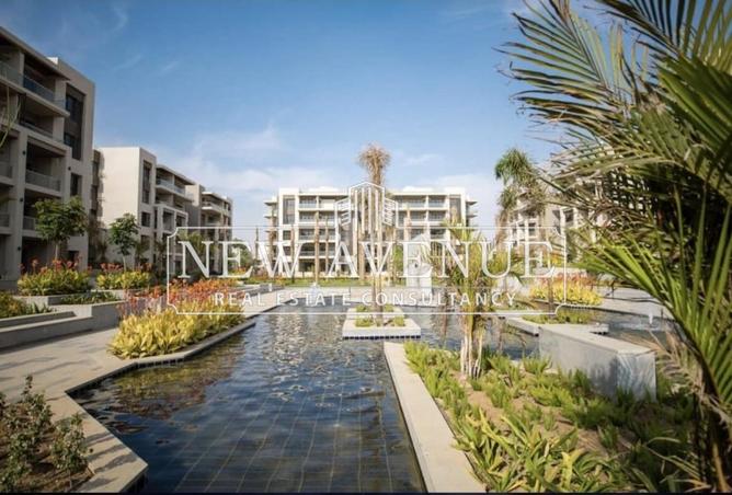 8138702 - Property Image 3