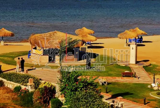 8248223 - Property Image 3