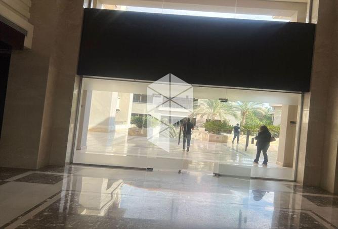 8294419 - Property Image 3