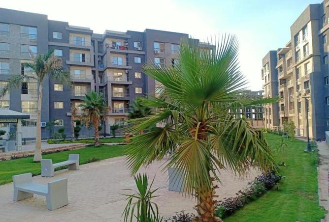 8323892 - صورة العقار 3