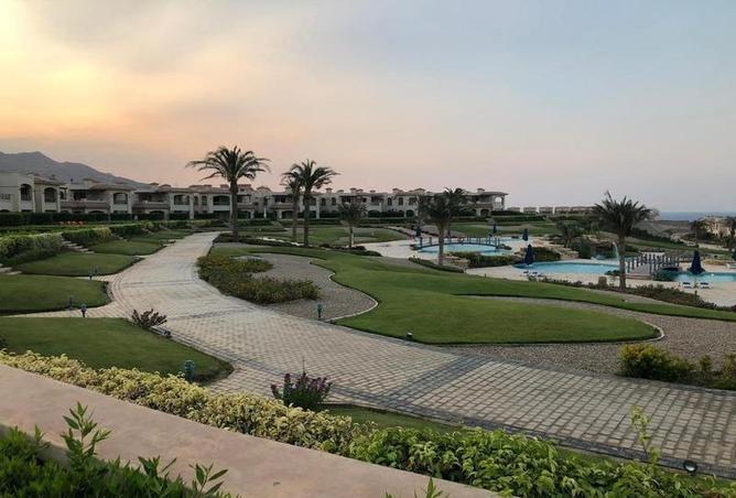 8335104 - Property Image 3