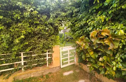 Apartment - 2 Bedrooms - 1 Bathroom for sale in Madinaty - Cairo