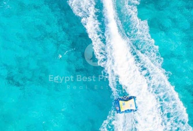 7954759 - صورة العقار 3