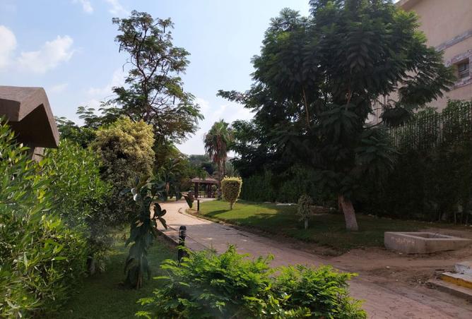 8115363 - صورة العقار 2