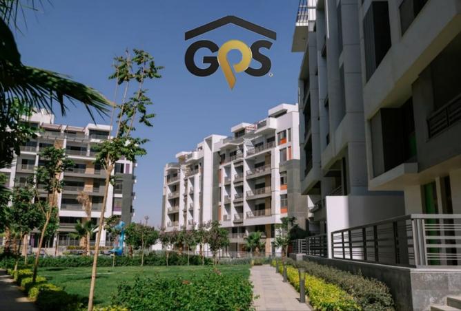 8239823 - Property Image 3