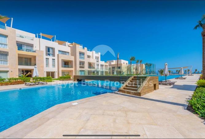 8031650 - Property Image 3