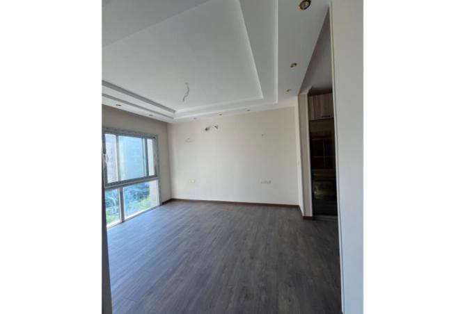 8375261 - Property Image 3