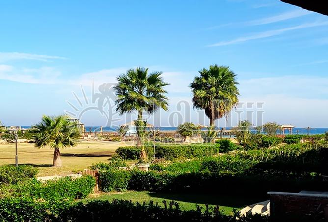 8126007 - Property Image 3