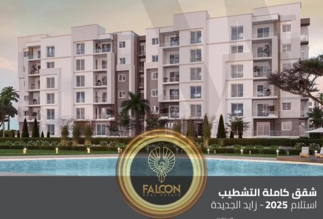 8439402 - Property Image 3