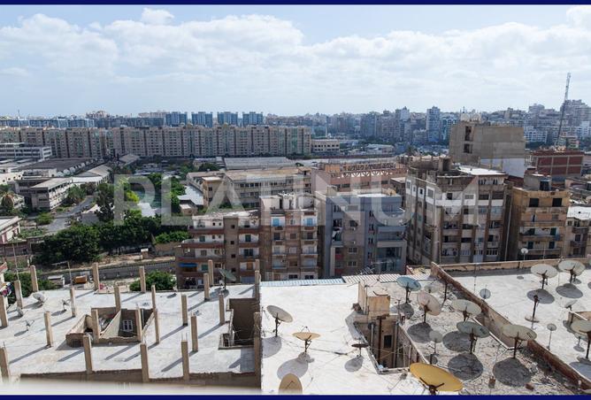 7962843 - صورة العقار 3