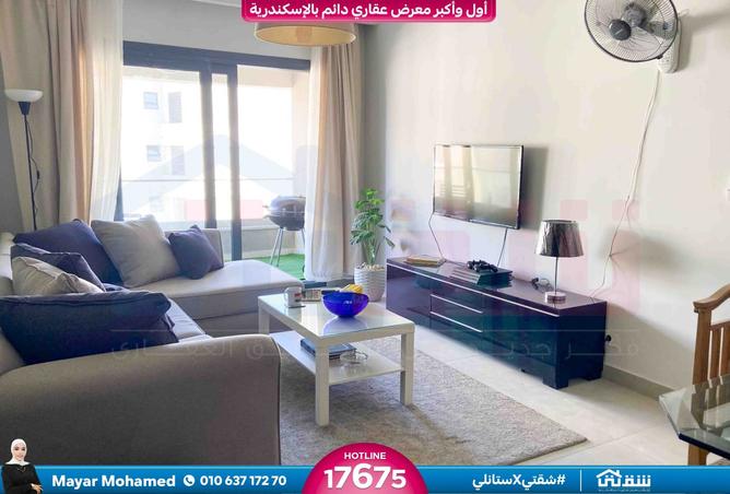 8278702 - Property Image 2