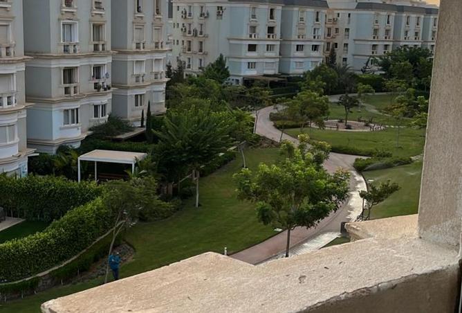 8141019 - Property Image 3