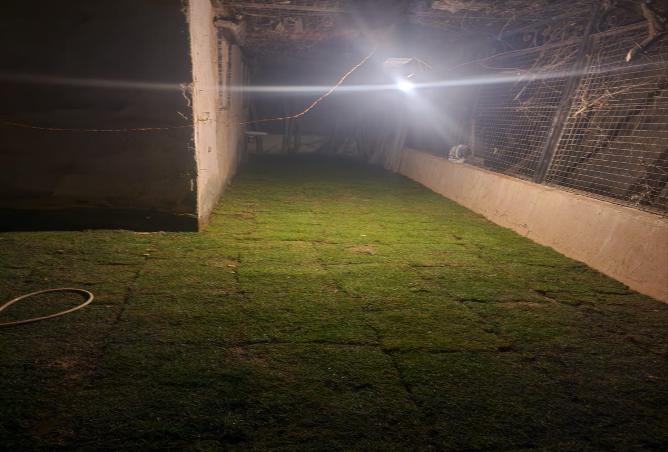 8297491 - صورة العقار 2