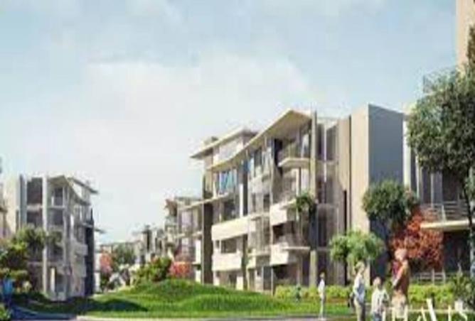 8227911 - Property Image 2