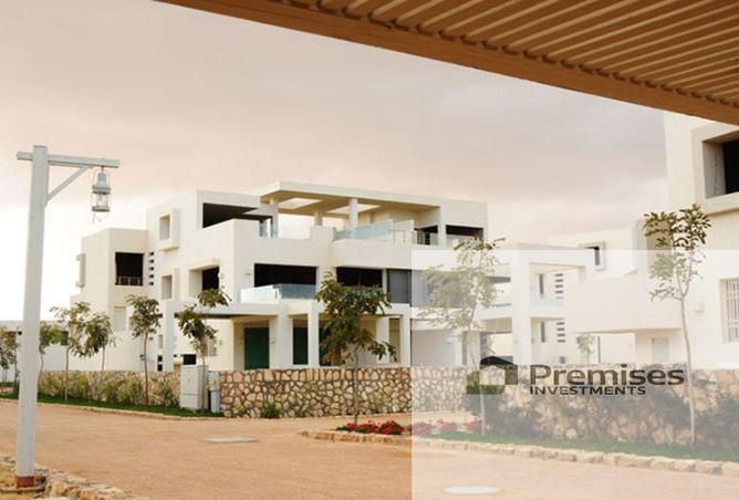 8319194 - Property Image 2