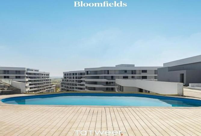 8345862 - Property Image 2