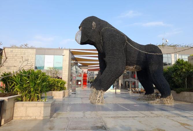 8222745 - صورة العقار 2