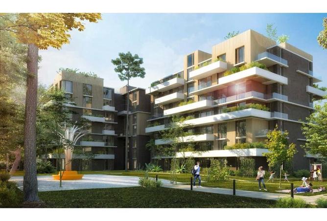 8268118 - صورة العقار 2