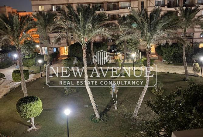 8168778 - Property Image 3