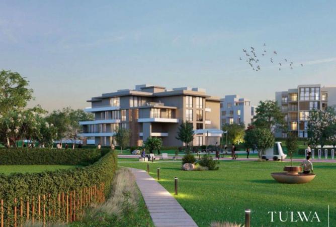 8113723 - Property Image 2
