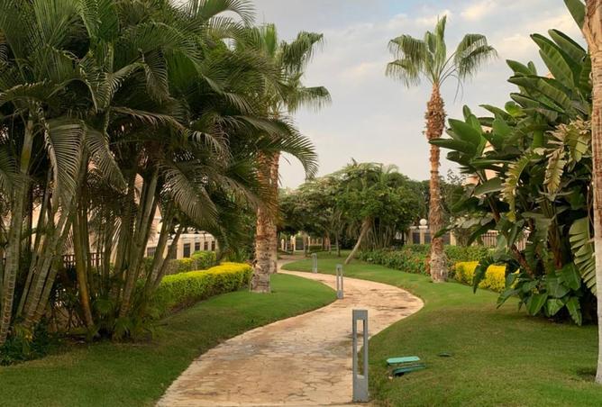 8519824 - Property Image 3