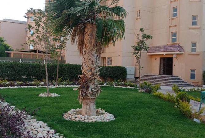 8155722 - صورة العقار 2