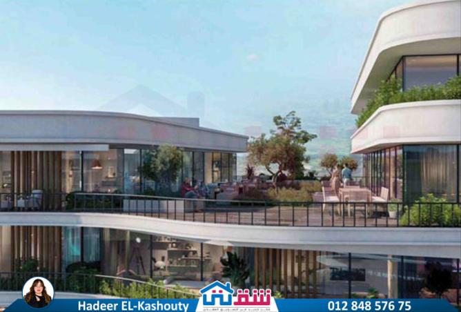 7980623 - Property Image 2