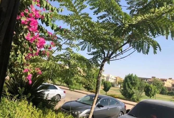 8237476 - Property Image 3