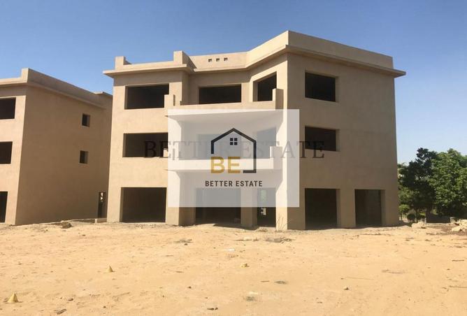 6113601 - صورة العقار 3