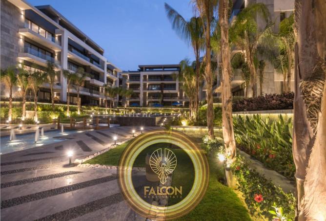 8417946 - Property Image 3