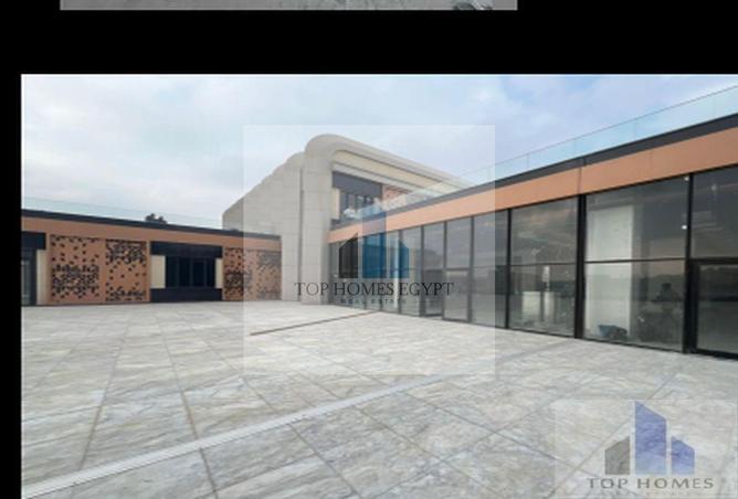 7985209 - Property Image 3