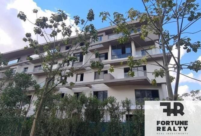 8376259 - الصورة الرئيسية للعقار