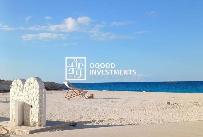 8237025 - Property Image 3