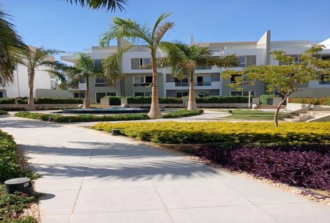 8548495 - Property Image 3