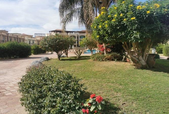 8169451 - صورة العقار 2