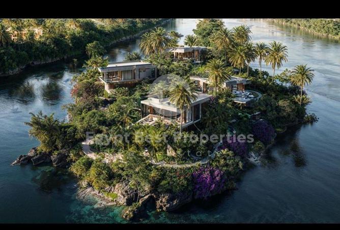 8115666 - Property Image 3