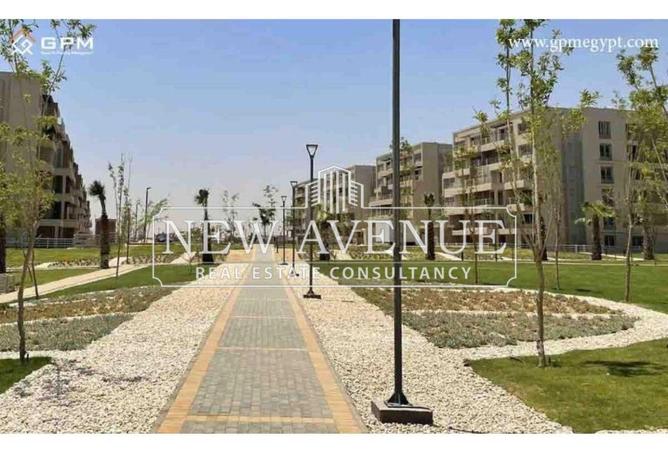 8301116 - Property Image 3