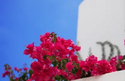 Townhouse - 3 Bedrooms - 5 Bathrooms for sale in LVLS By Mountain View - Qesm Ad Dabaah - North Coast