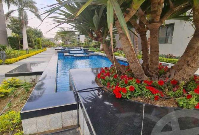 8186568 - Property Image 3